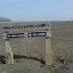 Whatipu Scientific Reserve